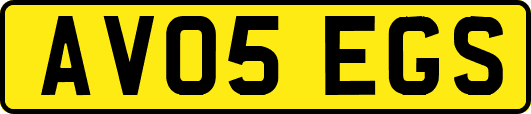 AV05EGS