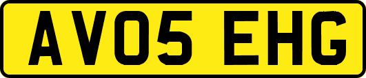 AV05EHG