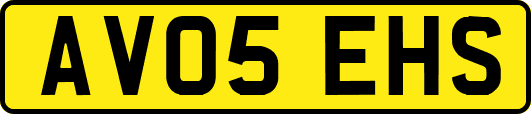AV05EHS