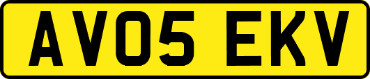 AV05EKV