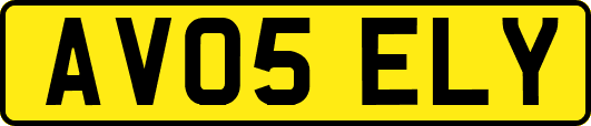 AV05ELY
