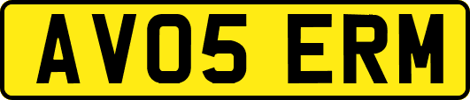 AV05ERM