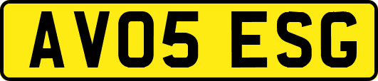 AV05ESG