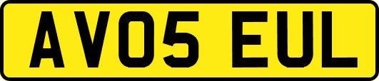 AV05EUL