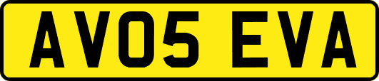 AV05EVA