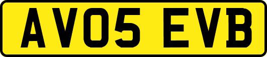 AV05EVB