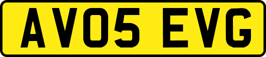 AV05EVG