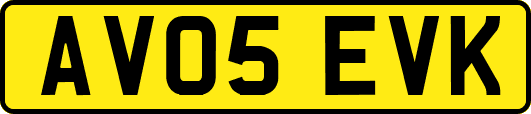 AV05EVK