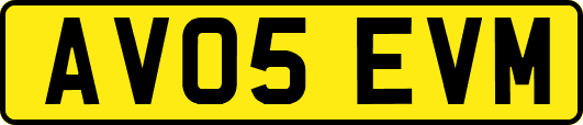 AV05EVM