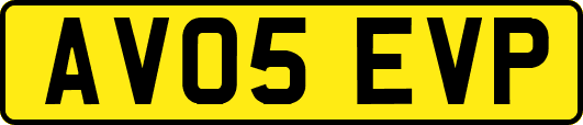 AV05EVP