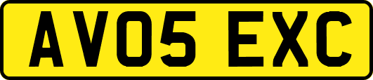 AV05EXC