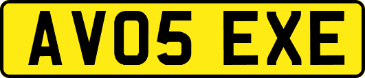 AV05EXE