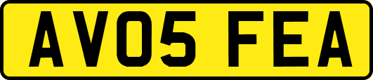 AV05FEA