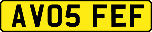 AV05FEF