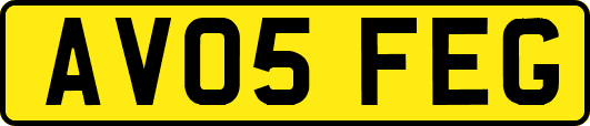 AV05FEG
