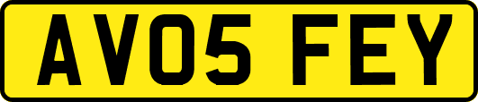 AV05FEY