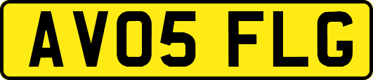 AV05FLG
