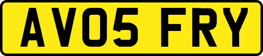 AV05FRY