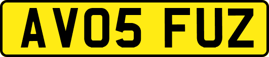 AV05FUZ