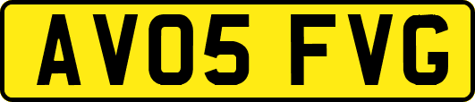 AV05FVG