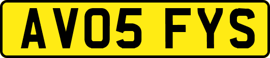 AV05FYS