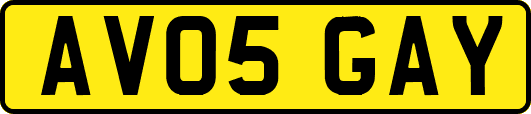 AV05GAY