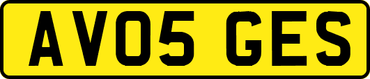 AV05GES