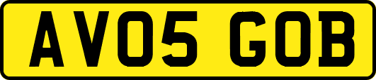 AV05GOB