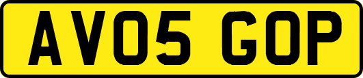 AV05GOP