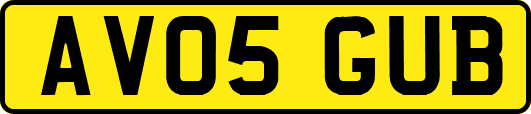 AV05GUB