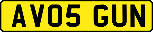 AV05GUN