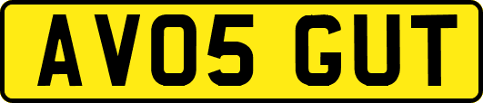 AV05GUT