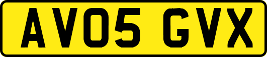 AV05GVX