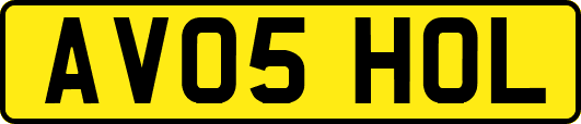 AV05HOL