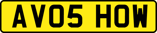 AV05HOW