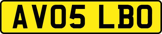AV05LBO