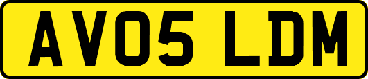 AV05LDM