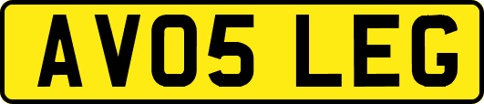 AV05LEG
