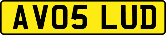 AV05LUD