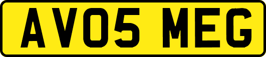 AV05MEG