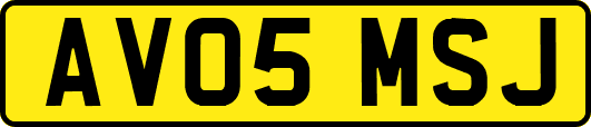 AV05MSJ