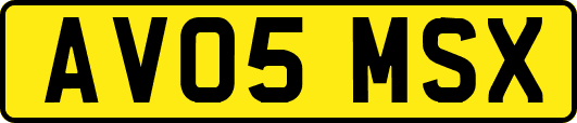AV05MSX
