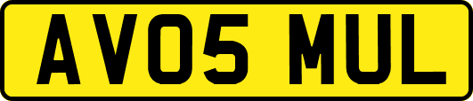 AV05MUL