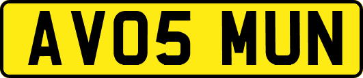 AV05MUN