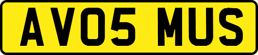AV05MUS