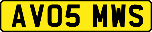 AV05MWS