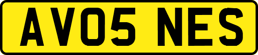 AV05NES