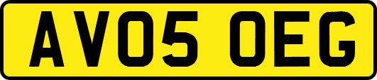 AV05OEG