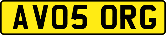 AV05ORG