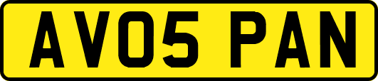 AV05PAN